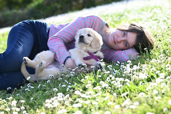 Como as políticas públicas estão influenciando a proteção da fauna?